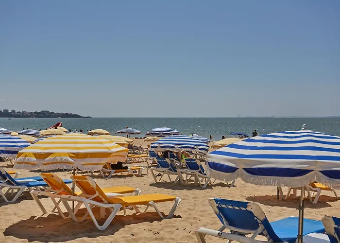 Odalys L'oree Du Parc